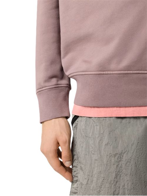 Stone Island Felpa girocollo in cotone biologico con maniche raglan Stone Island | L1S156100060S0051V008F